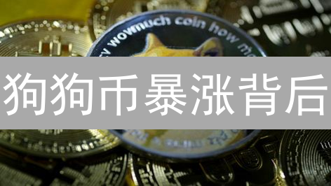 狗狗币暴涨背后：模因狂欢下的财富密码？速看！