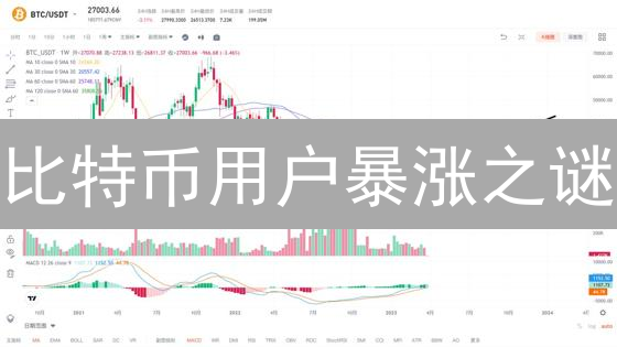 比特币用户暴涨之谜？下一个百倍币机会！