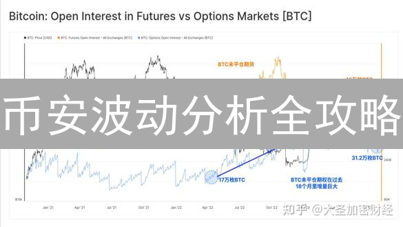 币安波动分析全攻略：如何抓住加密货币交易机遇？