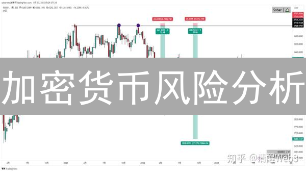 加密货币风险分析：2024年如何保护你的数字资产？