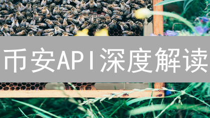 币安API深度解读：新手也能掌握的交易利器！