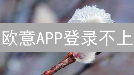 欧意APP登录不上？5招解决登录难题，交易不再错过！