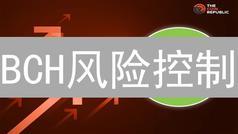 BCH风险控制：Binance与Gemini策略对比，新手必看！