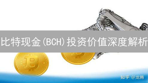 比特现金(BCH)投资价值深度解析：机遇or陷阱？