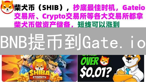 BNB提币到Gate.io：新手必看！图文教程，避免资产丢失！