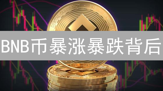 BNB币暴涨暴跌背后：未来价格走势预测及投资策略！