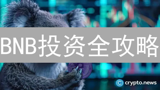 BNB投资全攻略：七大策略助你收益最大化！