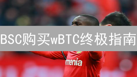 BSC购买wBTC终极指南：MetaMask+PancakeSwap，避坑必看！