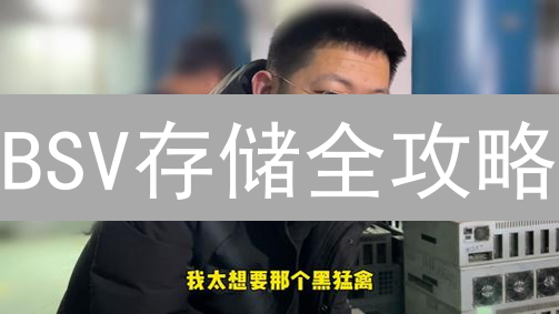 BSV存储全攻略：你的币真的安全吗？（2024最新版）