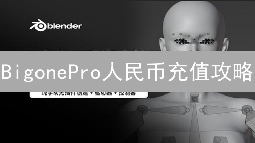 BigonePro人民币充值攻略：新手必看，安全便捷！