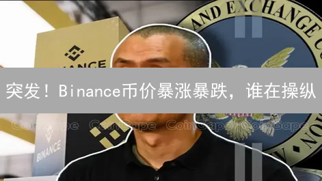 突发！Binance币价暴涨暴跌，谁在操纵？