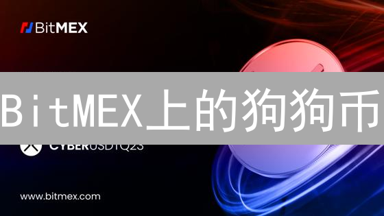 BitMEX上的狗狗币：是机遇还是陷阱？交易新手必看指南