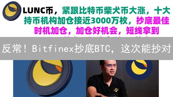 反常！Bitfinex抄底BTC，这次能抄对？| 加密货币投资，避坑指南！
