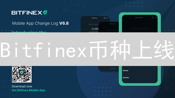 Bitfinex币种上线/下架：新手必看避坑指南！