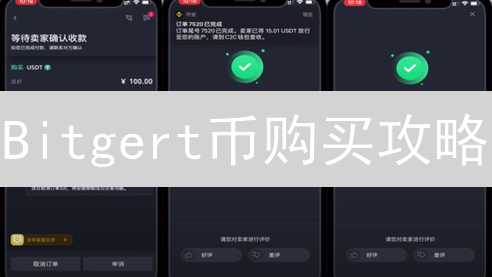 Bitgert币购买攻略：抓住BRISE潜力，新手必看！