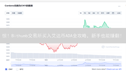 惊！Bithumb交易所买入艾达币ADA全攻略，新手也能赚翻！