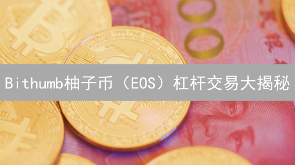 Bithumb柚子币（EOS）杠杆交易大揭秘：10个关键步骤助你玩转！