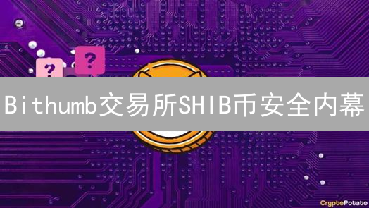Bithumb交易所SHIB币安全内幕：99%的人不知道的冷钱包策略！