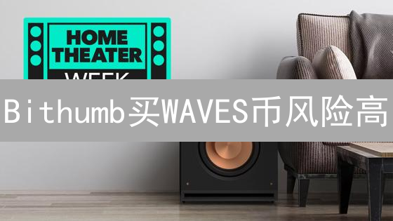 Bithumb买WAVES币风险高？新手必看！快速评估投资价值！
