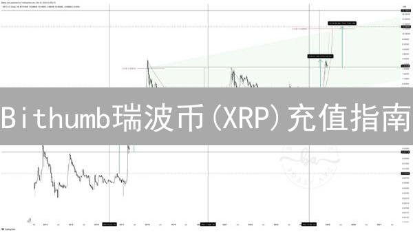 Bithumb瑞波币(XRP)充值指南：5分钟搞定，避开99%的坑！