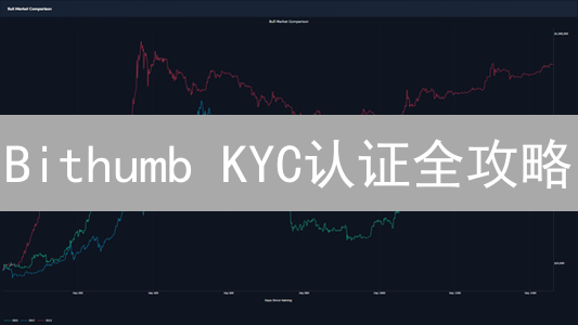 Bithumb KYC认证全攻略：新手也能轻松搞定！