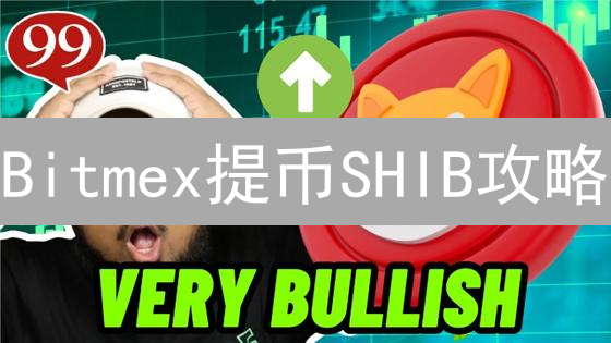 Bitmex提币SHIB攻略：5步教程教你间接提取柴犬币！
