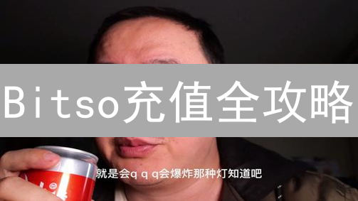 Bitso充值全攻略：避坑指南，资金安全升级！