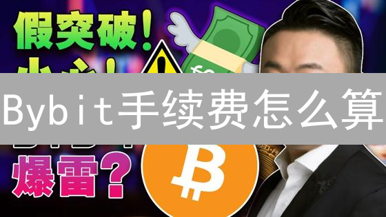 Bybit手续费怎么算？避坑指南：如何降低交易成本？