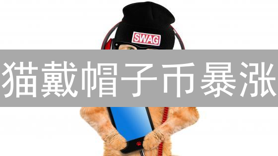 猫戴帽子币暴涨？揭秘CWH风险与机遇！