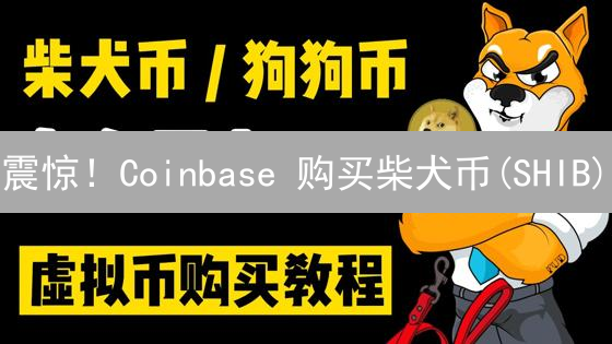 震惊！Coinbase 购买柴犬币(SHIB)？小白也能轻松上手！