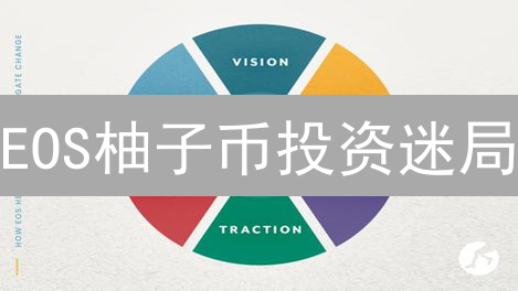 EOS柚子币投资迷局：抓住机遇，还是深陷泥潭？