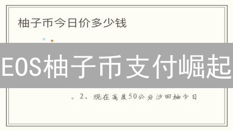 EOS柚子币支付崛起？深度剖析能否颠覆支付行业格局！