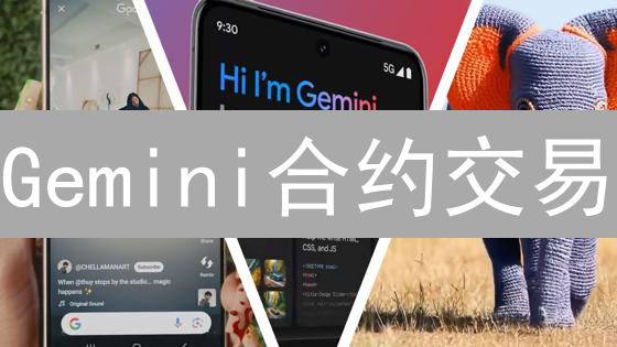 Gemini合约交易：新手稳健起步的十大避坑指南！