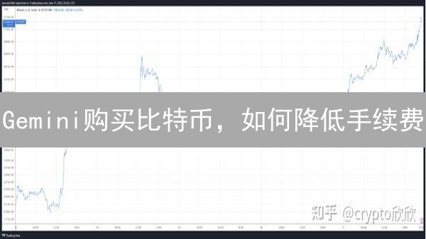 Gemini购买比特币，如何降低手续费？省钱攻略必看！