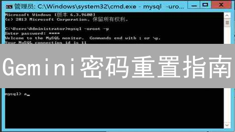Gemini密码重置指南：快速安全恢复账户访问！
