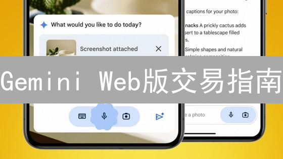 Gemini Web版交易指南：新手也能轻松玩转加密货币？