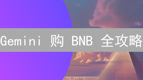 Gemini 购 BNB 全攻略：省钱妙招大揭秘！