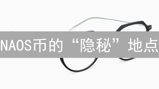 NAOS币的“隐秘”地点：一次深度解构与未来猜想