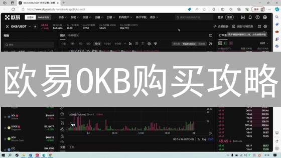 欧易OKB购买攻略：像老手一样轻松入手！