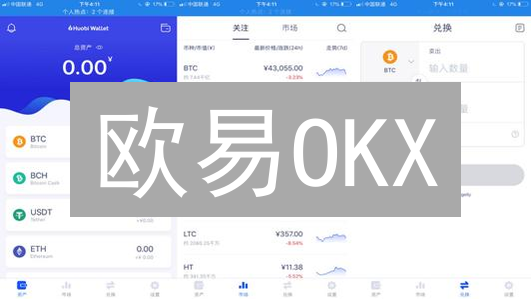 欧易OKX：莱特币交易，APP VS 网页，哪个更胜一筹？深度评测！
