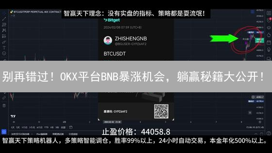 别再错过！OKX平台BNB暴涨机会，躺赢秘籍大公开！