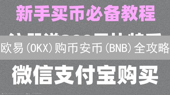 欧易(OKX)购币安币(BNB)全攻略：新手避坑指南！