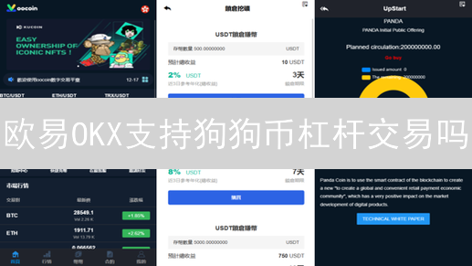欧易OKX支持狗狗币杠杆交易吗？新手如何玩转DOGE杠杆？