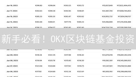 新手必看！OKX区块链基金投资：稳赚不赔？速领指南！
