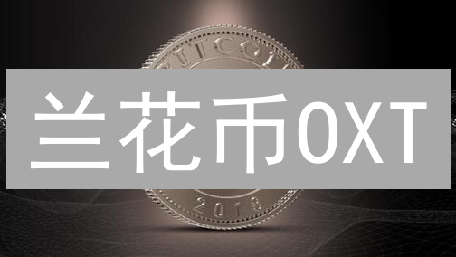 兰花币OXT：颠覆传统VPN，隐私上网的新选择？深度解读！