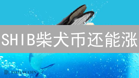 SHIB柴犬币还能涨？Bitget深度解析未来潜力与风险！