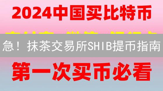 急！抹茶交易所SHIB提币指南：别让你的柴犬币迷路！