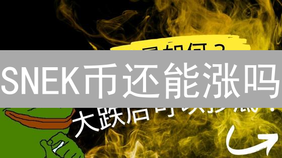 SNEK币还能涨吗？Cardano蛇币的另类掘金机会？
