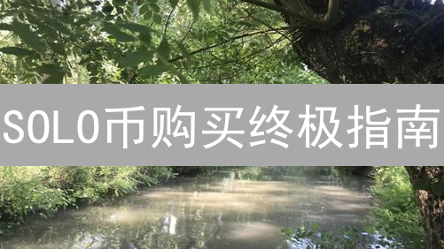 SOLO币购买终极指南：手把手教你玩转Sologenic！