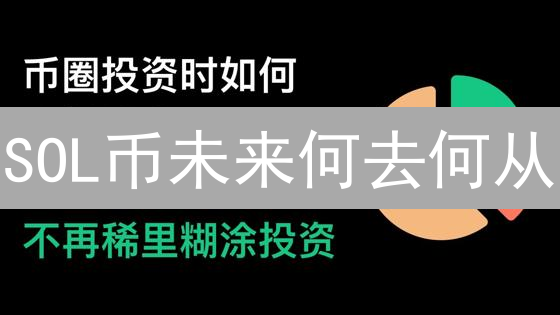 SOL币未来何去何从？持仓图深度揭秘，掌控财富密码！